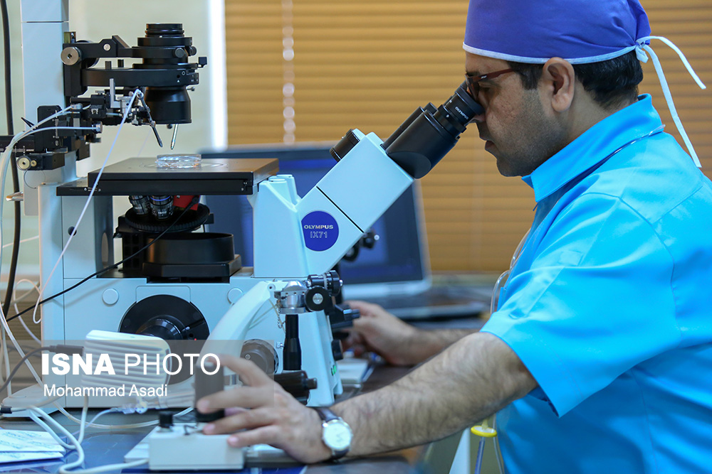 طب20 | سیستم جامع سلامت و درمان  گالری تصاویر مرکز ناباروری امید رویان جهاد دانشگاهی 