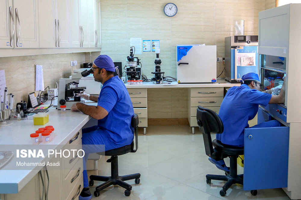  طب20 | سیستم جامع سلامت و درمان  گالری تصاویر مرکز ناباروری امید رویان جهاد دانشگاهی 