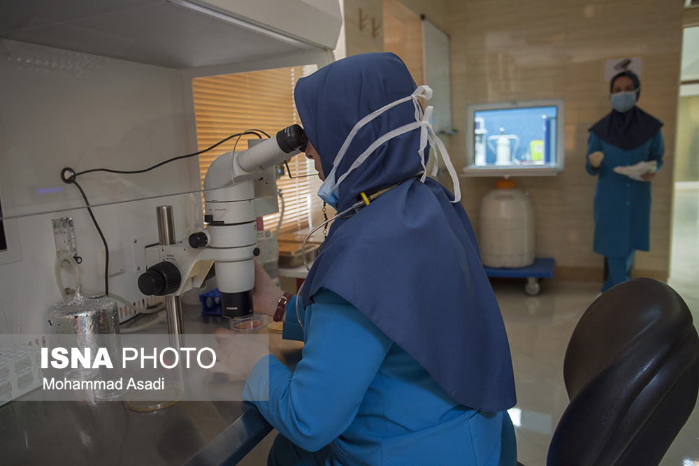  طب20 | سیستم جامع سلامت و درمان  گالری تصاویر مرکز ناباروری امید رویان جهاد دانشگاهی 