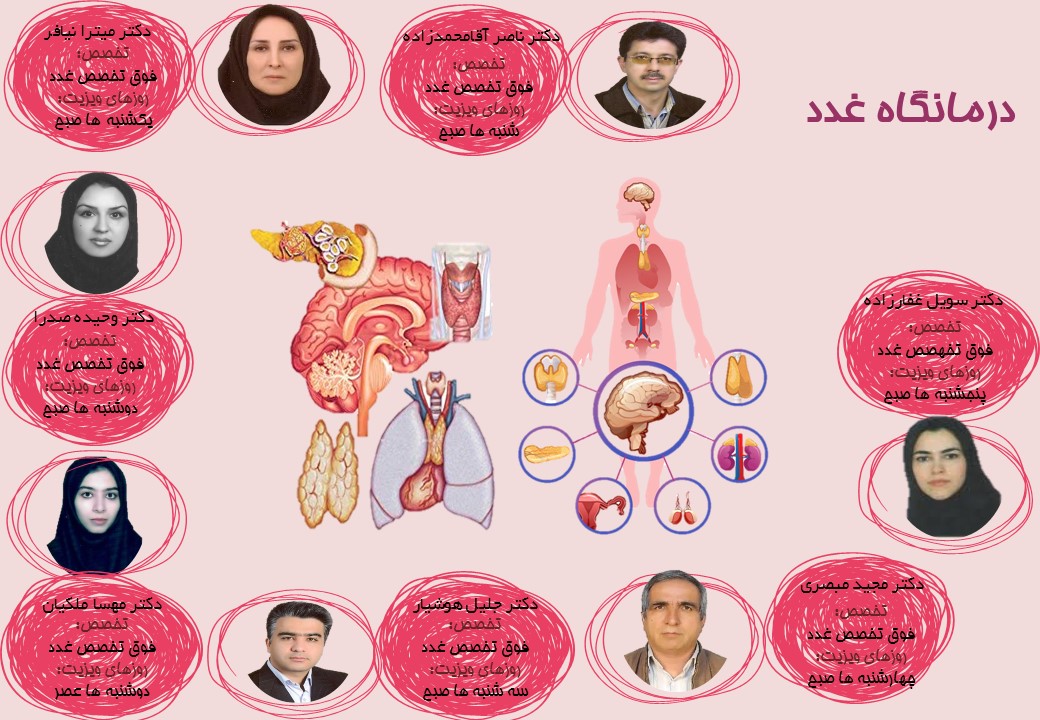  طب20 | سیستم جامع سلامت و درمان  گالری تصاویر مرکز آموزشی درمانی امام رضا(ع) تبریز